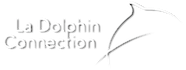 La Dolphin Connection Logo